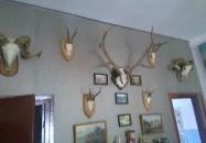 Oláh Vendégház Hortobágy