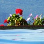 Silvanus Wellness & Konferencia Hotel Visegrád - Medence/kert