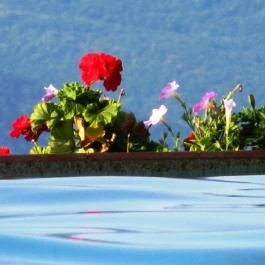 Silvanus Wellness & Konferencia Hotel, Visegrád - Medence/kert