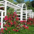 Hotel Yacht Wellness & Business Siófok - Medence/kert