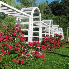 Hotel Yacht Wellness & Business, Siófok - Medence/kert