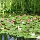 Hotel Yacht Wellness & Business Siófok - Környék