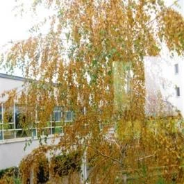 Velence Resort & Spa, Velence - Környék