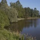 Hotel Európa Gunaras Dombóvár - Környék