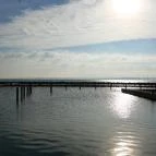 Hotel Golden Lake Resort Balatonfüred - Környék