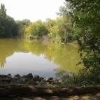 Hotel Orchidea Tengelic Tengelic - Környék