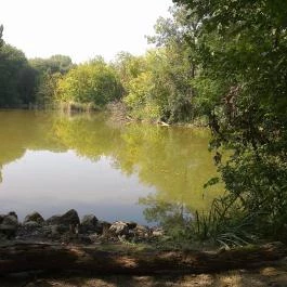 Hotel Orchidea Tengelic Tengelic - Környék