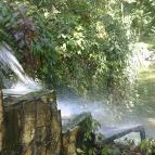 Hotel Orchidea Tengelic Tengelic - Környék