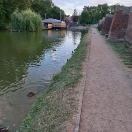 Gyulai Vár, Gyula - Egyéb