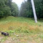 Grandhotel Galya Galyatető - Környék