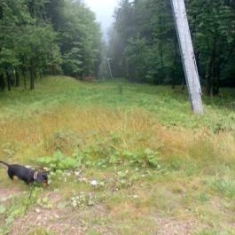 Grandhotel Galya, Galyatető - Környék