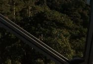 Sellő Kemping Balatonboglár