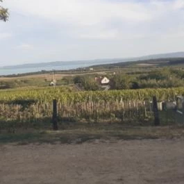 Tagyon Birtok, Tagyon - Külső kép