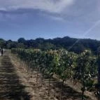 Tagyon Birtok Tagyon - Külső kép