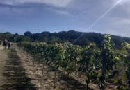 Tagyon Birtok Tagyon