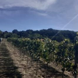 Tagyon Birtok, Tagyon - Külső kép