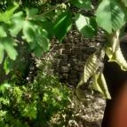 Tagyon Birtok Tagyon - Külső kép