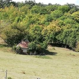 Tagyon Birtok, Tagyon - Külső kép