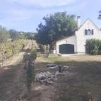 Tagyon Birtok Tagyon - Külső kép