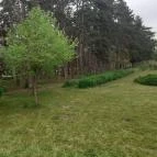 Zichy Kastély - Golgota Főiskola Kastélyszálló Vajta - Környék