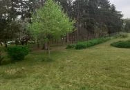 Zichy Kastély - Golgota Főiskola Kastélyszálló Vajta