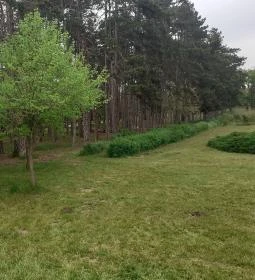 Zichy Kastély - Golgota Főiskola Kastélyszálló