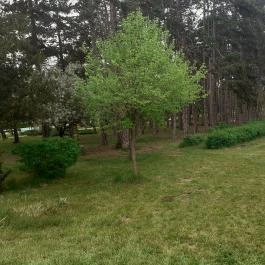 Zichy Kastély - Golgota Főiskola Kastélyszálló, Vajta - Környék