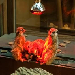 Bambara Hotel, Felsőtárkány - Szórakozás/Sport