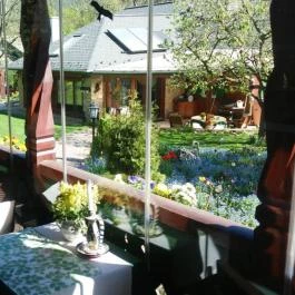 Eden Rose Apartman Pilisszentkereszt - Környék