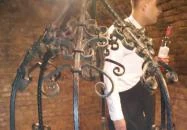 Hotel Merops Mészáros Szekszárd