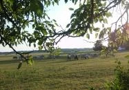 Karikás Csárda Bugac