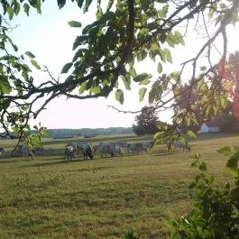 Karikás Csárda Bugac - Külső kép