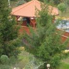 Termál Hotel Pávai Berekfürdő - Medence/kert