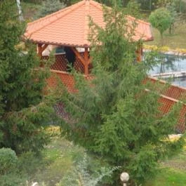 Termál Hotel Pávai, Berekfürdő - Medence/kert