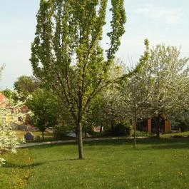 Jankovich Kúria Wellness Hotel Rácalmás - Medence/kert