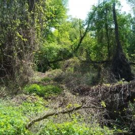 Jankovich Kúria Wellness Hotel Rácalmás - Környék