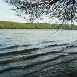 Jankovich Kúria Wellness Hotel Rácalmás - Környék