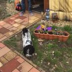 Jurta Tábor Cserkeszőlő - Külső kép