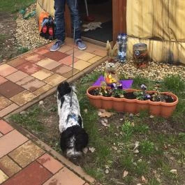 Jurta Tábor Cserkeszőlő - Külső kép