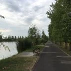 Tóparti Vendéglő Nyíregyháza - Egyéb