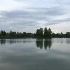 Tóparti Vendéglő Nyíregyháza - Egyéb