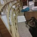 Hunguest Hotel Flóra Eger - Egyéb