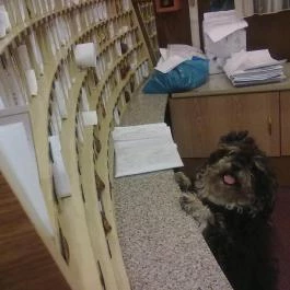 Hunguest Hotel Flóra Eger - Egyéb