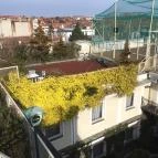 Pannonia Hotel Sopron - Környék