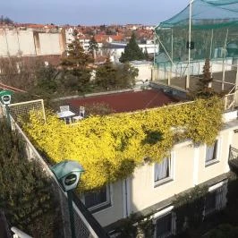 Pannonia Hotel Sopron - Környék