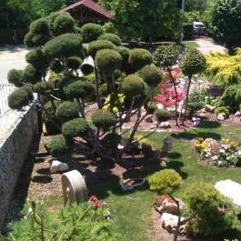 Szent Orbán Kisvendéglő, Velence - Egyéb