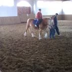 Erdőspuszta Club Hotel Debrecen - Egyéb