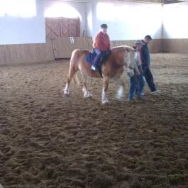 Erdőspuszta Club Hotel Debrecen - Egyéb