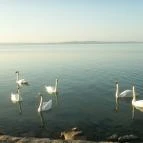 Erzsébet Szálloda Siófok Siófok - Környék