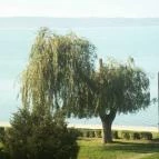 Erzsébet Szálloda Siófok Siófok - Környék